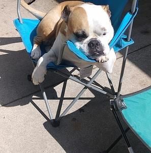 Meet your Posher, April